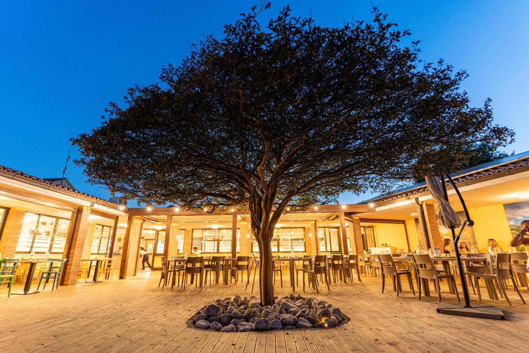 Club Del Sole La Risacca Family Collection Hotel Porto Sant'Elpidio Ngoại thất bức ảnh